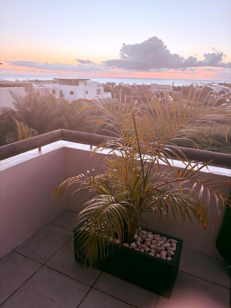 Stunning 3-Bedroom Apartment With Private Rooftop Terrace & Gorgeous Pool Flic-en-Flacq エクステリア 写真